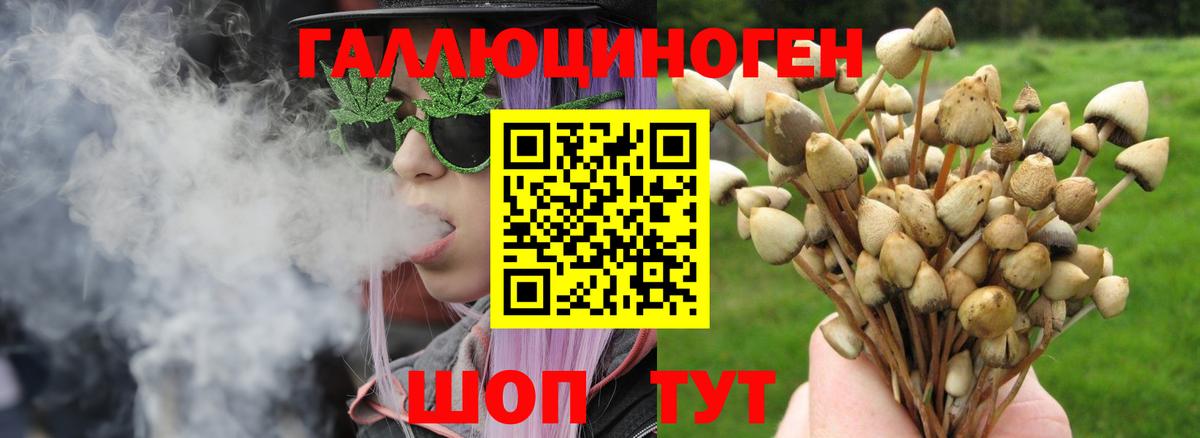 Урай  Галлюциногенные грибы MAGIC MUSHROOMS  Галлюциногенные грибы GOLDEN TEACHER  Вход с VPN 